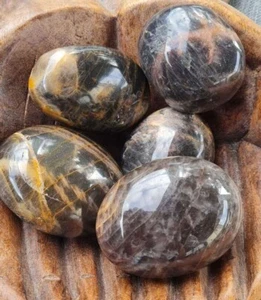 1 x black moonstone crystal PALMSTONES Aus Seller - Picture 1 of 1
