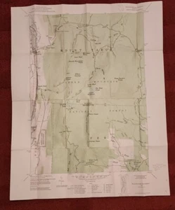 1954 USGS Topographic Map Wallingford SW VERMONT 15 Minute Quadrangle Topo Green - Picture 1 of 5