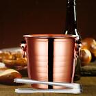 Stainless Steel Drinks Chilling Bucket 3L Ice Storage Bucket Bucket for BBQ