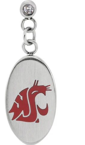 WASHINGTON STATE COUGARS WSU * Stainless Steel Dangle Earrings w/CZ NCAA Jewelry Cover