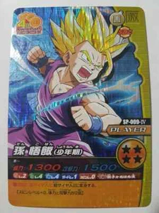 Carte Dragon Ball Z DBZ Data Carddass W Bakuretsu Impact Part 6 #SP-009-IV Prism - Imagen 1 de 1