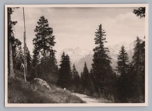 Weg zum Pordoijoch Italien 1960 - Altes Foto - Picture 1 of 2