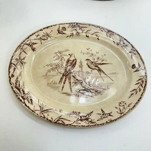 Antique 1877 Ridgway Sparks & Ridgway Indus Pattern Transferware Platter Birds - Picture 1 of 12