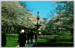 Postcard Josephine Gardens Brandywine Park, Wilmington, Delaware Unposted - Picture 1 of 2