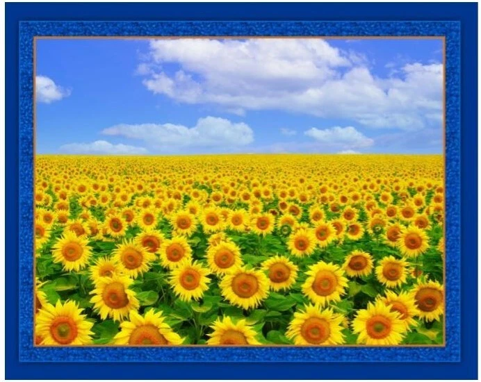 Campo de girasol ~ Panel de tela acolchada - Girasoles, brillante Foto 1 de 1