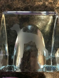 BLUE RIBBON FROSTED GLASS DOG -  -HAND CRAFTED LARGE AND HEAVY  - Picture 1 of 4