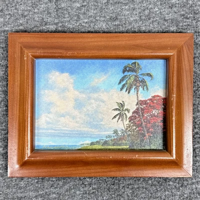 Жаклин Шиндехетт с автографом Poinciana Giclée Print Indian River Backus Student - Изображение 1 из 4