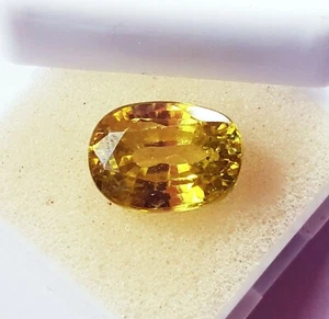 Natürlicher Peridot ovaler Peridot 10,65 ct zertifizierter loser Edelstein mit kostenlosem Geschenk - Bild 1 von 5