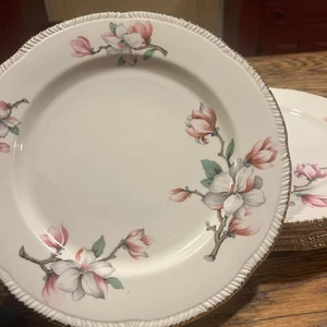 "JUEGO DE 6 platos de cena Homer Laughlin Dogwood Liberty grandes 10"" rosa floral ¡EXCELENTE!"! - Imagen 1 de 13