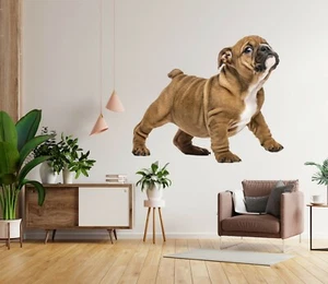 3D Süßer Hund H598 Tier Wallpaper Wandbild Poster Wandaufkleber Abziehbild Hone - Picture 1 of 6