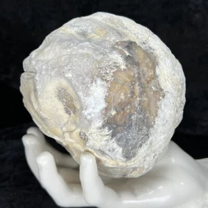 4-1/2” Uncut GEODE AGATE Unopened Rough Quartz Chalcedony Crystal 3.2Lb KY - Picture 1 of 9
