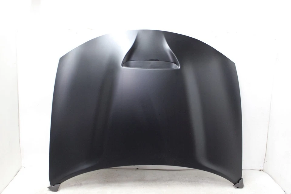 15 16 17 18 19 20 21 22 23 DODGE CARGADOR Capucha Foto 1 de 4