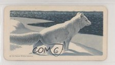 1962 Brooke Bond Red Rose Animals of North America Series 2 Tea Arctic Fox 0t5