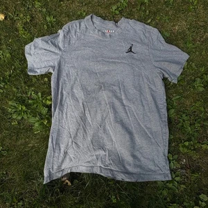 Nike Jordan Jumpman Logo T-Shirt Mens L Gray Short Sleeve Cotton Blend - Picture 1 of 6
