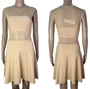 Jay Godfrey Manley Sheer Open Knit Fit & Flare Mini Dress Tan Size Small - Picture 1 of 13