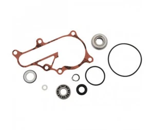YAMAHA YFM 700 RAPTOR - KIT RIPARAZIONE POMPA D'ACQUA / 821923 - Foto 1 di 1