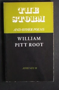 The Storm and Other Poems by William Pitt Root 1969 1st edition 42 poems VG+ - Imagen 1 de 1