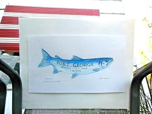 Don Nisbett Original Watercolor Painting Steelhead Ft George Signed on Foamcore - Picture 1 of 6
