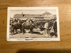 Postkarte - Feldpost - Büffelmarkt in Hermannstadt - 1917 - Picture 1 of 2
