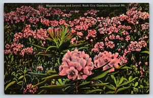 Rhododendron and Laurel, Rock City Gardens, Lookout Mountain, GA Vtg Postcard - Picture 1 of 2