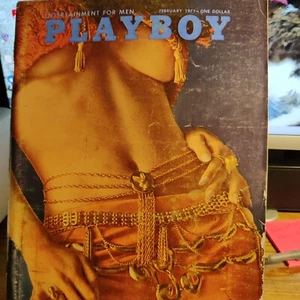 Playboy Magazine February 1971 Centerfold still intact . - Picture 1 of 3