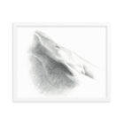 White Framed  print Body 006 - Original Drawing, Female, Sensual