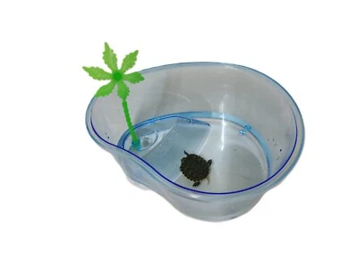 PET PIONEER Kidney Turtle Lagoon with Access Ramp & Palm Tree. 3 sizes. Turtle no included