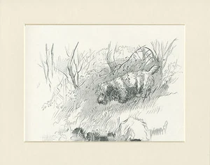 SEALYHAM TERRIER ON BANK OF STREAM 1930ER HUNDESKIZZENDRUCK von KF BARKER MONTIERT - Bild 1 von 1