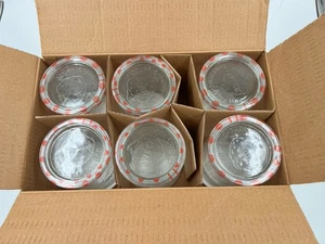 NUOVO set 6 barattoli succo di tulipano vintage Weck 1 litro con anelli morsetti coperchi sigillati - Foto 1 di 7