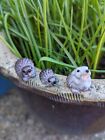Cute Hedgehog Micro Landscape Ornaments, Miniature Resin Figurines, Bonsai