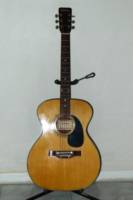 Guitarra acústica Ventura Bruno con estuche. Foto 1 de 4