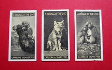 CARRERAS  3 ANTIQUE 1924 CIGARETTE CARDS  A KODAK AT THE ZOO  18-25-39  SERIES 1