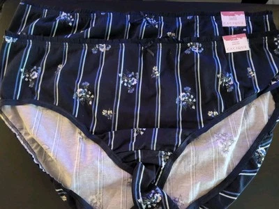 Lane Bryant Cacique 18/20 HIPSTER Set 2 Rayas Floral Azul Bragas NUEVO CON ETIQUETA Foto 1 de 4