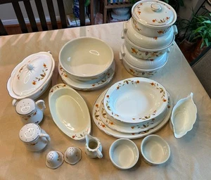 Set o 20 Pc Halls Superior Autumn Leaf by Mary Dunbar Jewel Vintage Kitchenware - Picture 1 of 20