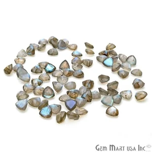 AAA Labradorite Naturale Trilione di Pietre Sciolte Set Gioielli Pietra Preziosa 7mm - Foto 1 di 42