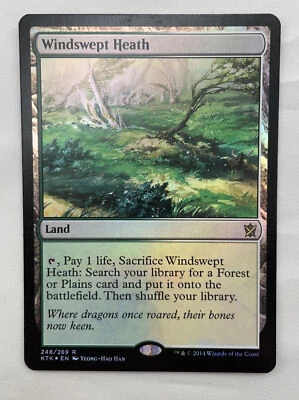 Windswept Heath x1 *FOIL* MTG Khans of Tarkir 1x Magic Near Mint NM - Image 1 of 3