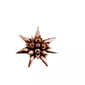 C21 kleiner Edelweiss KUPFER Effekt MAGNET Kühlschrank/Büro Schreibtisch Englisch Zinn - Bild 1 von 1