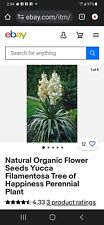 Yucca Filamentosa Adams Needle Wildcrafted , Organic30 Seeds $12.95 Free Shipp