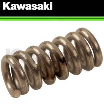 NUEVO 2000-2025 GENUINO KAWASAKI NINJA REPOSAPIÉS RESORTE NINJA 92145-1319 SE ADAPTA A MUCHOS Foto 1 de 4