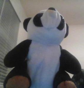 cute toys for kids under 5 years or above black panda express                    - Picture 1 of 1