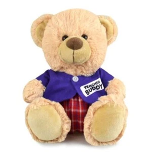 TeacherTeddy Bear soft plush toy 9"/23cm - Picture 1 of 3