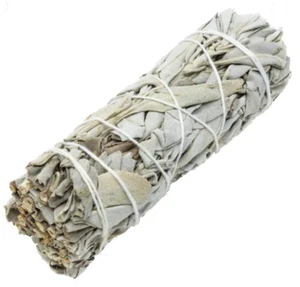 White Sage - 5" to 6" - Picture 1 of 1