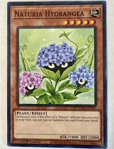 Naturia Hydrangea - HAC1-EN107 - Common - 1st Edition Yugioh! - Picture 1 of 1