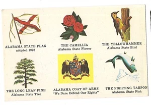 ALABAMA STATE SYMBOLS Flag Flower Bird Tree Fish Coat of Arms Postcard AL - Picture 1 of 2