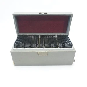 48 Vintage Keystone/Wottring Magic Lantern Glass Slides Eye Test? - Picture 1 of 3