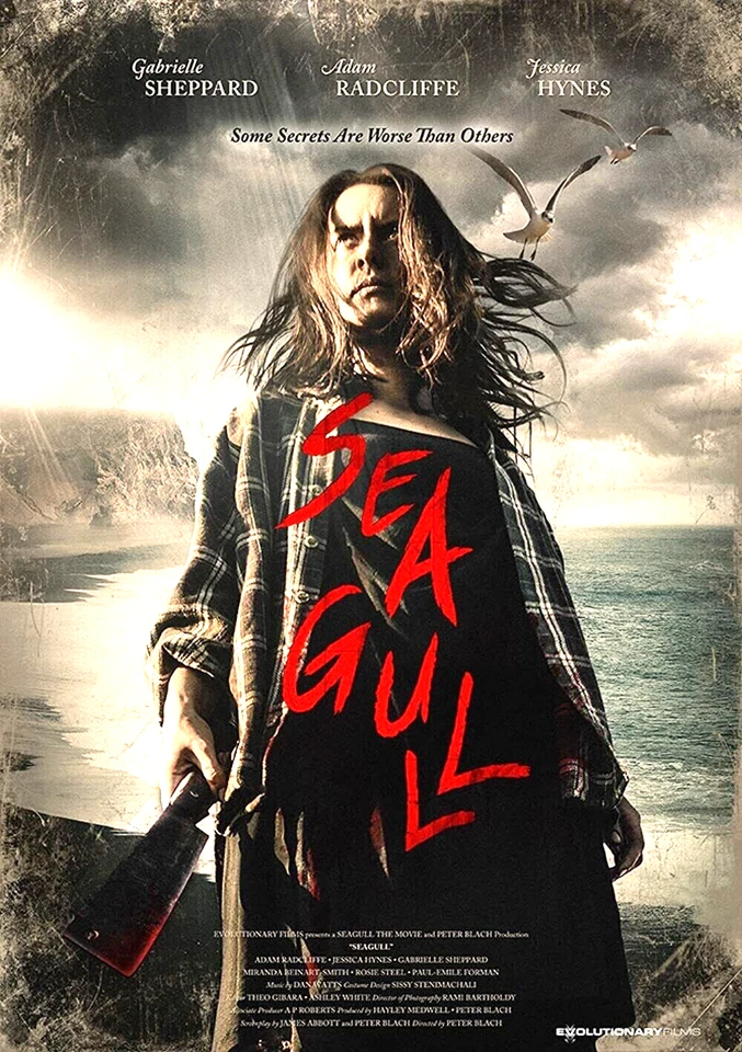 Seagull (DVD, 2019, WS) Gabrielle Sheppard, Adam Radcliffe, Jessica Hynes  NUEVO - Image 1 of 1