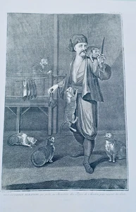 Albanischer Guerdgi, der zum Bezestein der Schaffehen führt, um die Cha zu füttern - Bild 1 von 6