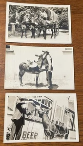 Lot Of 3 Vintage RPPC 1940's Peter Voiss Postcards Nomad Burros California - Picture 1 of 4