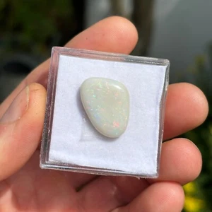 Piedra preciosa suelta australiana ópalo forma libre blanco olímpico 12,35 quilates OPL049 - Imagen 1 de 10