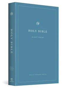 ESV Economy Bible – Giant Print Edition, Easy-to-Read Text, Softcover - Picture 1 of 11